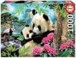 Rīta panda puzzle, 1000 daļas cena un informācija | Puzles, 3D puzles | 220.lv