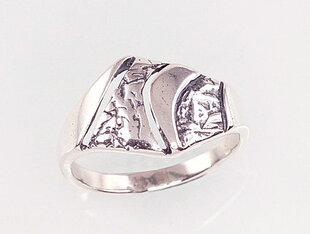 Серебряное кольцо 2100922900360 цена и информация | Кольца | 220.lv