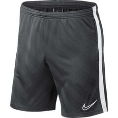 Спортивные шорты Nike M BRT Academy 19 Short JAQ KP M BQ5810 060, 50020 цена и информация | Мужская спортивная одежда | 220.lv