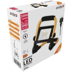 Напольный светодиодный прожектор Avide 30 Вт цена и информация | Уличное освещение | 220.lv