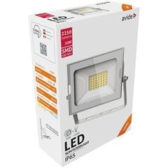 LED prožektors SMD Avide Slim 30W balts cena un informācija | Āra apgaismojums | 220.lv