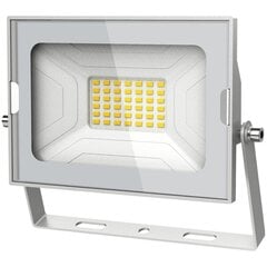 LED prožektors SMD Avide Slim 30W balts cena un informācija | Āra apgaismojums | 220.lv