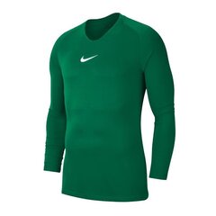 Vīriešu termiskais krekls Nike, zaļš kaina ir informacija | Vīriešu termoveļa | 220.lv