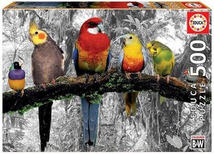 Пазл с попугаями Educa Borras, 500 деталей цена и информация | Пазлы | 220.lv