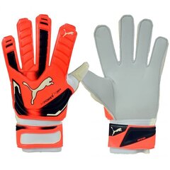 Вратарь перчатки Puma evo power grip 2 aqua 41145 30, оранжевые цена и информация | Тренировочные перчатки. Размер 5 | 220.lv