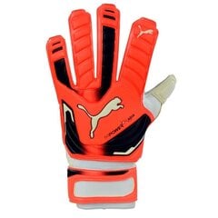 Vārtsargu cimdi Puma Evo Power Grip 2 Aqua 41145 30, oranžie cena un informācija | Vārtsarga cimdi | 220.lv