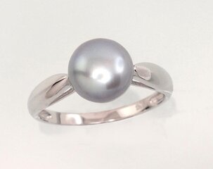 Серебряное кольцо цена и информация | Кольца | 220.lv