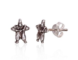 Серебряные серьги-пуссеты 2204101000022 цена и информация | Серьги | 220.lv