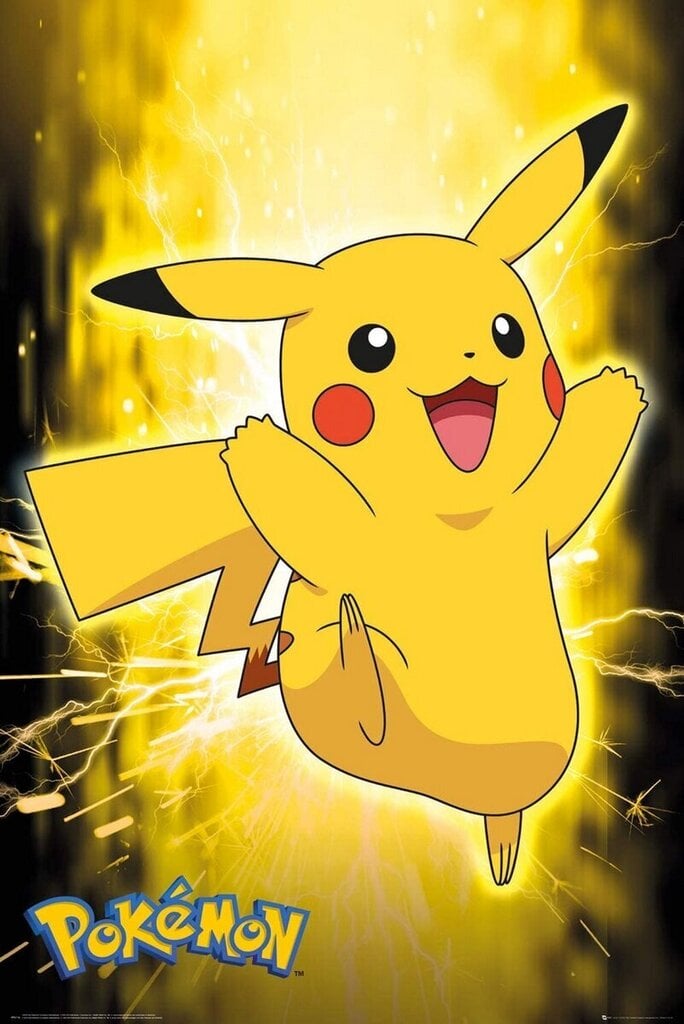 Pokemon Pikachu Lightning - plakāts 61x91,5 cm cena un informācija | Datorspēļu suvenīri | 220.lv