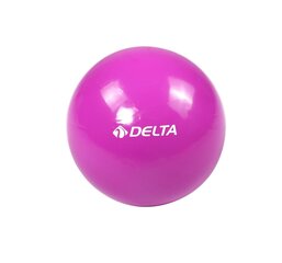 Vingrošanas bumba Delta RMO967, 25 cm, violeta cena un informācija | Vingrošanas bumbas | 220.lv