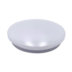 LED gaismeklis 24 W 4000 К IP20 цена и информация | Потолочные светильники | 220.lv