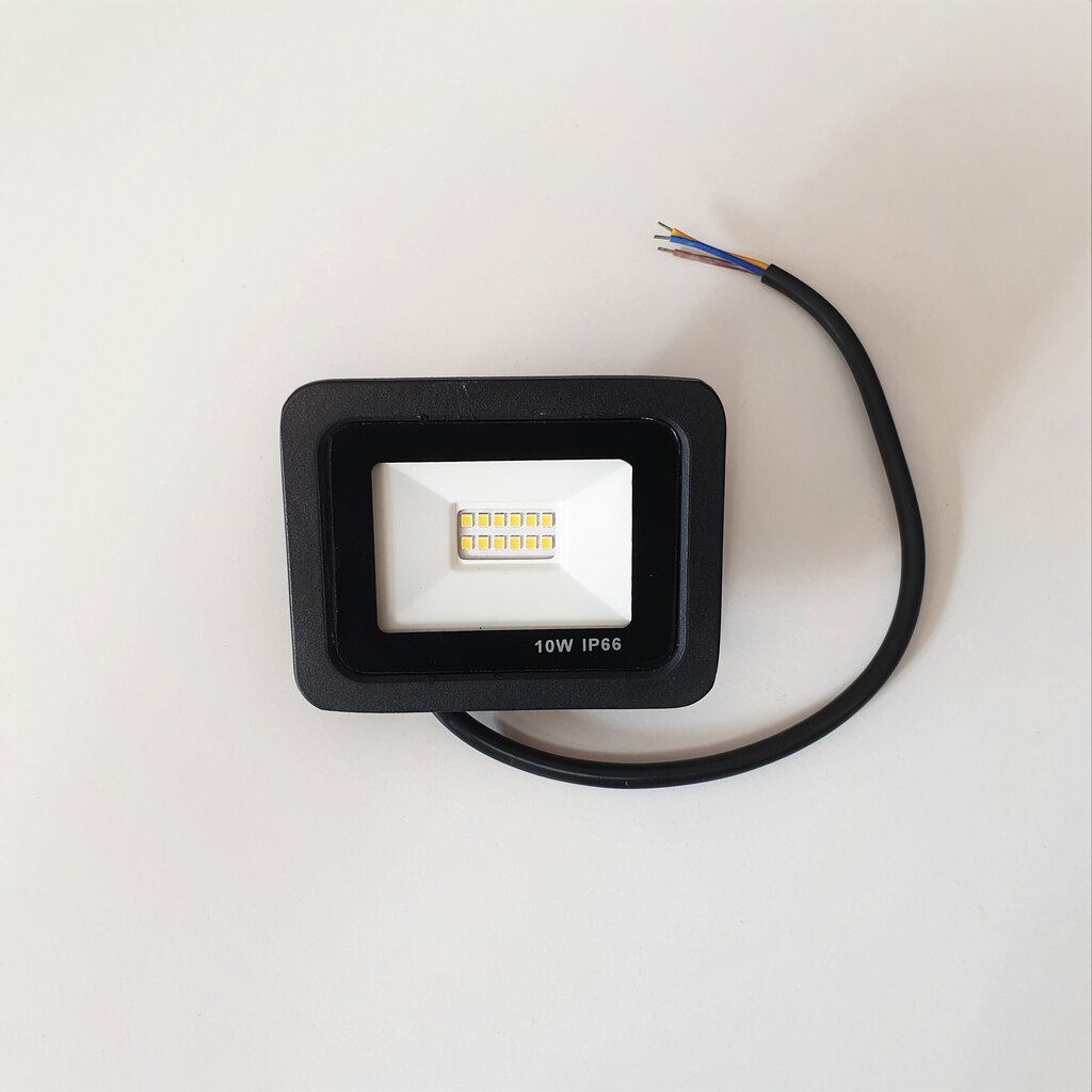 Āra prožektors LED Slim 4000 K IP66 10 W cena un informācija | Āra apgaismojums | 220.lv