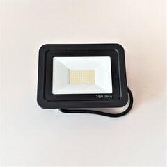 Āra prožektors LED Slim 30 W 4000 K IP66 cena un informācija | Āra apgaismojums | 220.lv