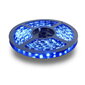 LED lente 12 V 4,6 W / m Premium SMD2835 60 LED / m IP20, zilā krāsā цена и информация | LED lentes | 220.lv