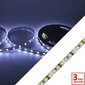 LED lente 12V 9,6 W / m 6500 K SMD2835 Premium 120 diodes цена и информация | LED lentes | 220.lv