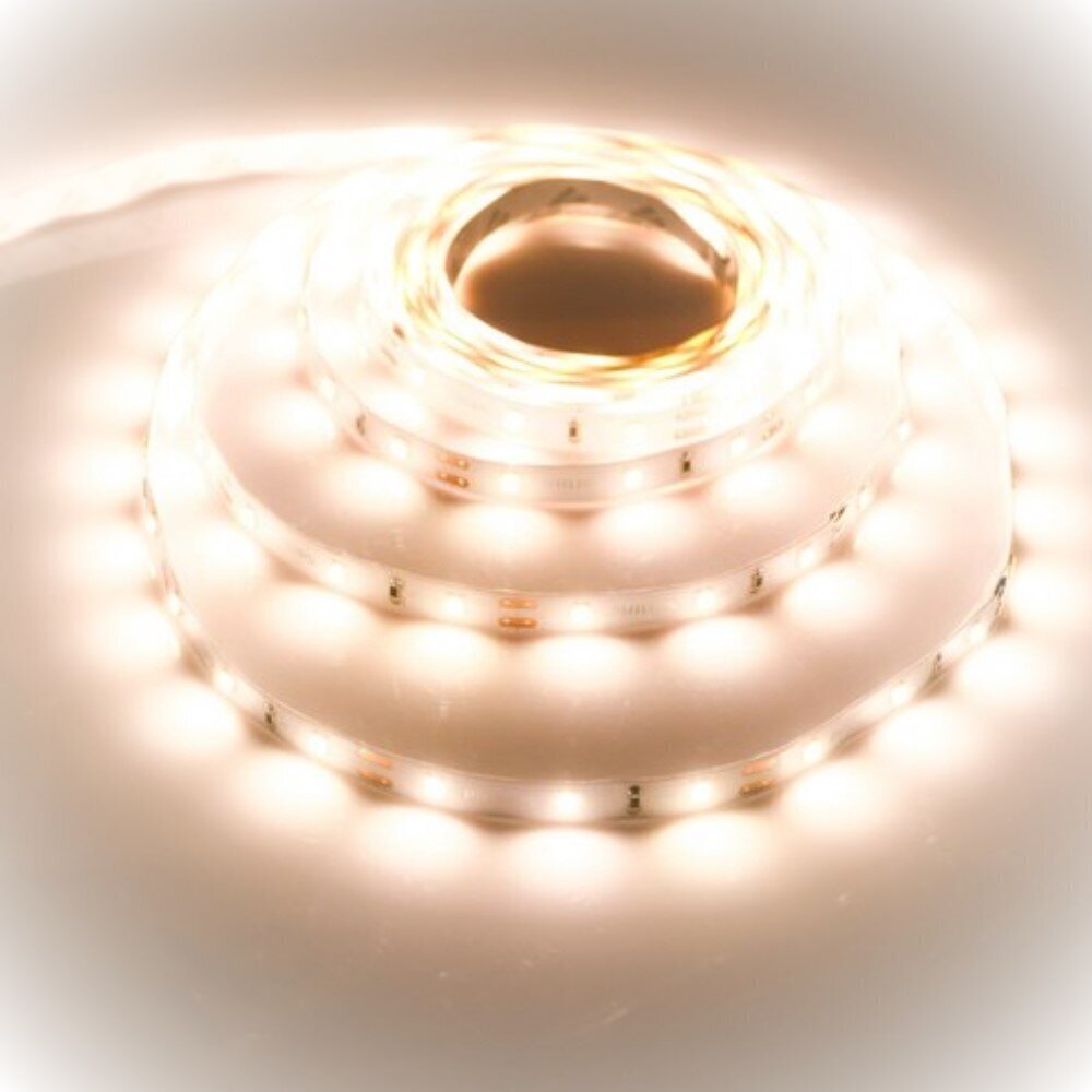 LED lente 12 V IP65 9,6 W / m 4500 K SMD2835 Premium 120 LED, neitrāli balta cena un informācija | LED lentes | 220.lv