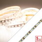 LED lente 12 V 12 V / m 4000 K SMD2835 Prestige IP20 120 LED, neitrāli balta cena un informācija | LED lentes | 220.lv