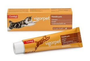 Vigorpet паста для кошек 50г цена и информация | Витамины, пищевые добавки для кошек | 220.lv