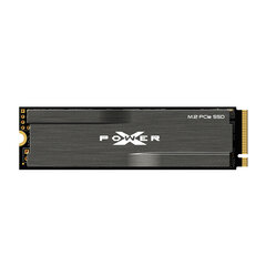 Silicon Power SP256GBP34XD8005 цена и информация | Внутренние жёсткие диски (HDD, SSD, Hybrid) | 220.lv