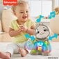 Linkimals Muzikāli-interaktīvā rotaļlieta Sliņķis Fisher-Price цена и информация | Rotaļlietas zīdaiņiem | 220.lv