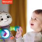 Linkimals Muzikāli-interaktīvā rotaļlieta Sliņķis Fisher-Price цена и информация | Rotaļlietas zīdaiņiem | 220.lv