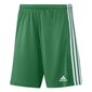 Sporta šorti vīriešiem Adidas Squadra 21 Short M GN5769, zaļi cena un informācija | Sporta apģērbs vīriešiem | 220.lv