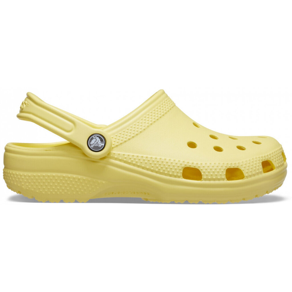 Crocs™ Classic 133250 цена и информация | Iešļūcenes, čības sievietēm | 220.lv