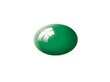 Revell - Aqua Color, Emerald Green, Gloss, 18ml, 36161 цена и информация | Modelēšanas un zīmēšanas piederumi | 220.lv