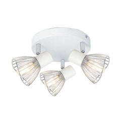 Candellux griestu lampa Fly 3, balta/sudrabainas krāsas cena un informācija | Griestu lampas | 220.lv