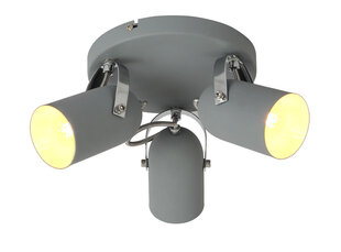 Candellux griestu lampa Gray 3 цена и информация | Потолочные светильники | 220.lv