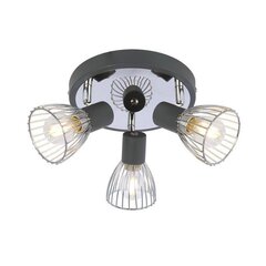 Candellux griestu lampa Modo 3 цена и информация | Потолочные светильники | 220.lv
