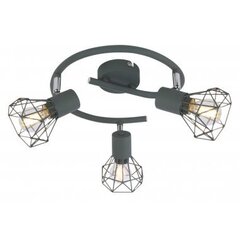 Candellux griestu lampa Verve 3 Grey цена и информация | Потолочные светильники | 220.lv