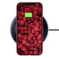 Moozy Lifestyle telefona vāciņš saderīgs ar iPhone X un iPhone XS – augstvērtīga silikona apvalks ar matētu virsmu un mīkstu mikrošķiedras oderi, Vintage rozā cena un informācija | Telefonu vāciņi, maciņi | 220.lv