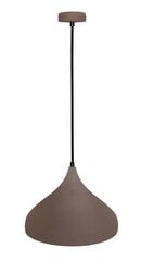 Ledea подвесной светильник Pendant Viborg 320 цена и информация | Настенный/подвесной светильник Eye Spot 11 BL, чёрный | 220.lv