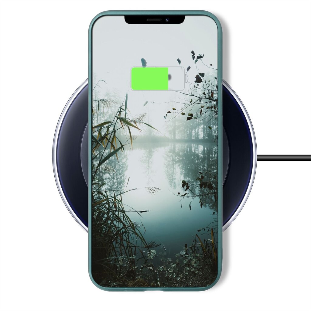 Moozy Minimalist plāns, matēts silikona vāciņš saderīgs ar iPhone 11 telefona modeli, Pelēkzils cena un informācija | Telefonu vāciņi, maciņi | 220.lv