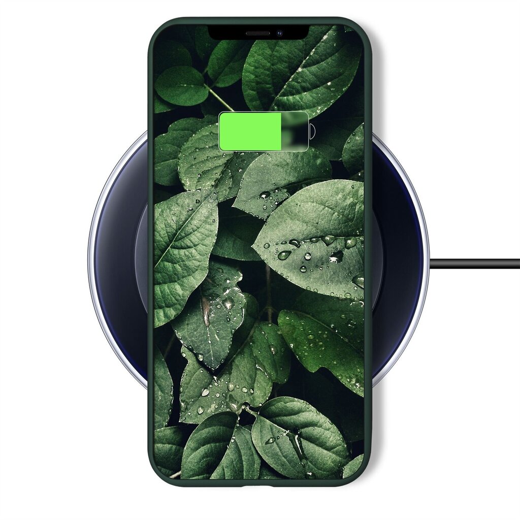 Moozy Minimalist plāns, matēts silikona vāciņš saderīgs ar iPhone 11 telefona modeli, Tumši zaļš cena un informācija | Telefonu vāciņi, maciņi | 220.lv