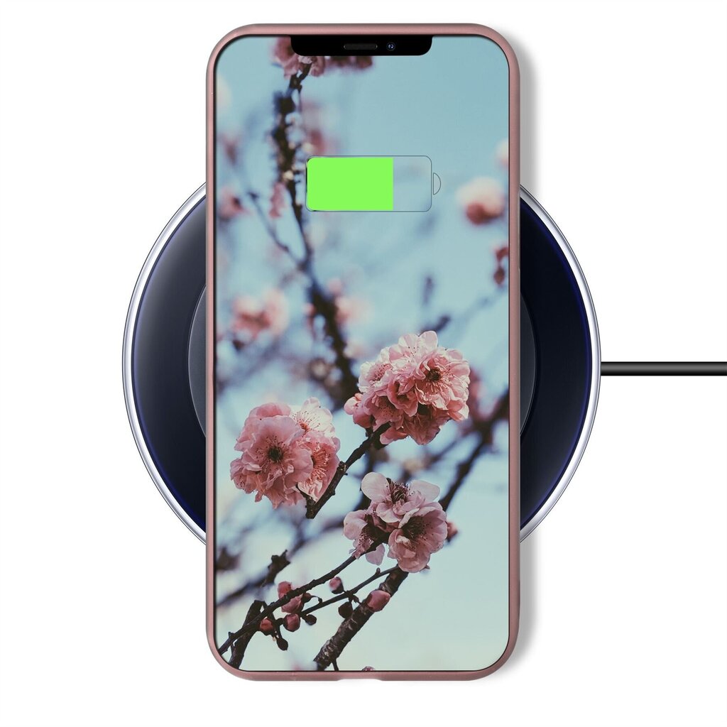 Moozy Minimalist plāns, matēts silikona vāciņš saderīgs ar iPhone 12, iPhone 12 Pro telefona modeli, Rozīgi bēšs cena un informācija | Telefonu vāciņi, maciņi | 220.lv