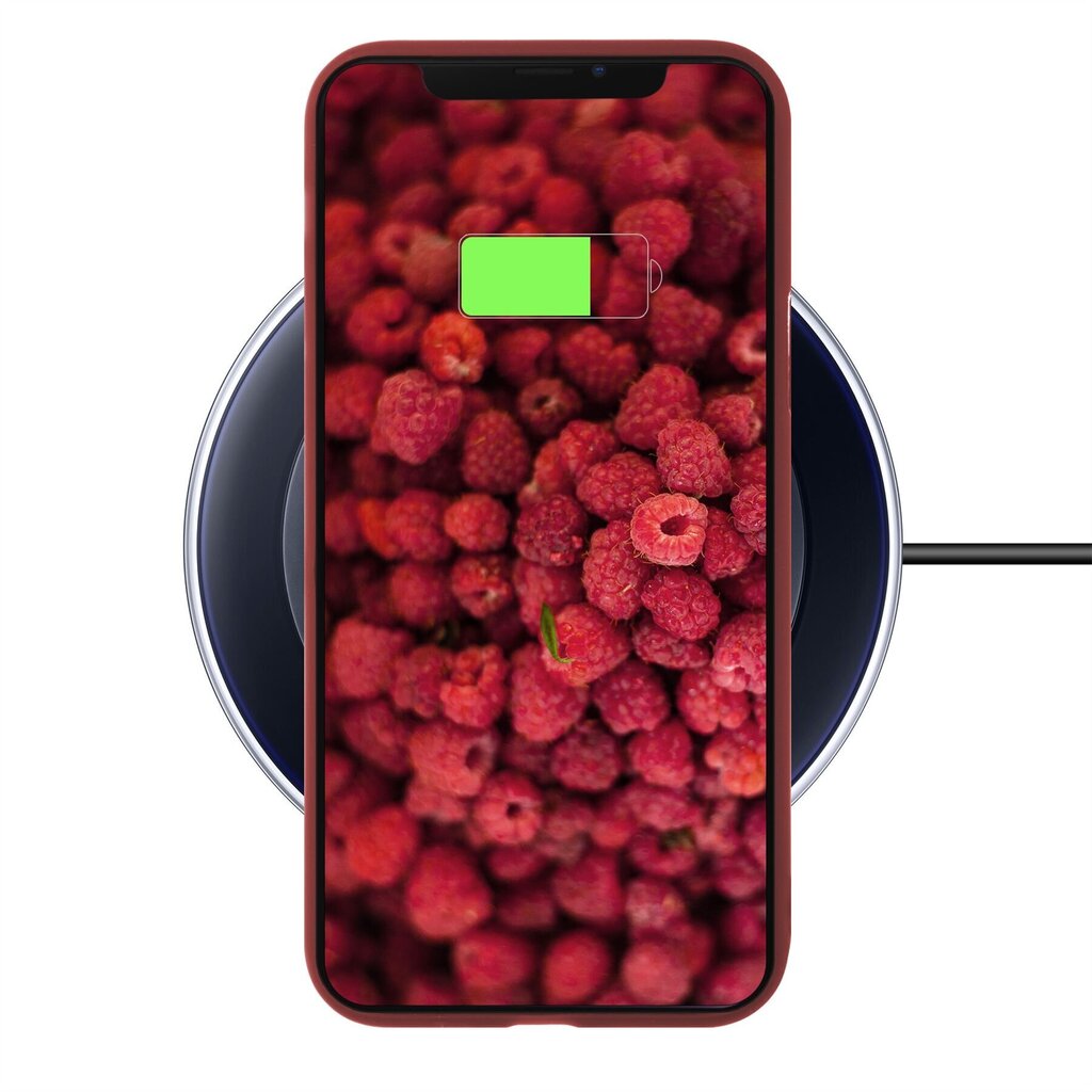 Moozy Lifestyle telefona vāciņš saderīgs ar iPhone 11 – augstvērtīga silikona apvalks ar matētu virsmu un mīkstu mikrošķiedras oderi, Vintage rozā cena un informācija | Telefonu vāciņi, maciņi | 220.lv