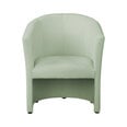 Кресло Ropez Cock, светло-зеленое