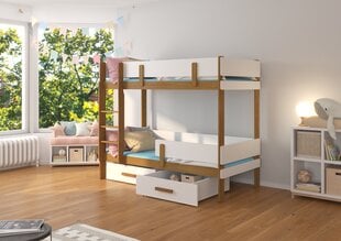 Divstāvu gulta ADRK Furniture Etiona 90x200cm, brūna/balta цена и информация | Детские кровати | 220.lv