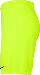 Шорты мужские Nike BV6855 702, зеленые цена и информация | Мужские шорты | 220.lv