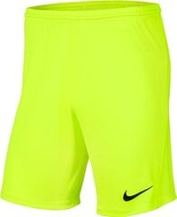 Šorti vīriešiem Nike BV6855 702, zaļi цена и информация | Мужские шорты | 220.lv