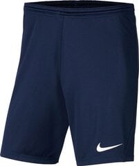 Шорты мужские Nike BV6855 410, синие цена и информация | Мужские шорты | 220.lv