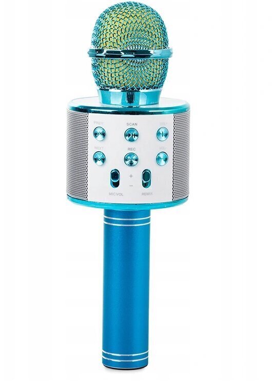 Bezvadu mikrofons “Bluetooth”, FM radio cena un informācija | Attīstošās rotaļlietas | 220.lv