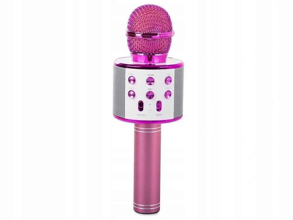 Bezvadu mikrofons “Bluetooth”, FM radio cena un informācija | Attīstošās rotaļlietas | 220.lv