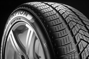 Pirelli Scorpion winter cena un informācija | Ziemas riepas | 220.lv