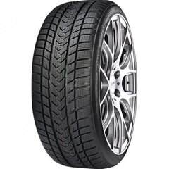 GRIPMAX Suregrip Pro Winter 245/35R19 93V XL цена и информация | Зимняя резина | 220.lv