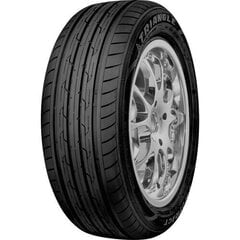 Triangle Protract te301 225/65R17 102H цена и информация | Зимняя резина | 220.lv