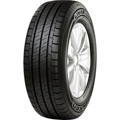 Falken Linam van01 225/55R17 109/107H цена и информация | Зимняя резина | 220.lv