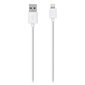 Belkin F8J023bt04-WHT цена и информация | Savienotājkabeļi | 220.lv